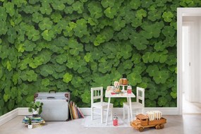 Fototapet, 3D Clover, Rebel Walls