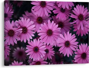 Tablou cu florile roz (70x50 cm)