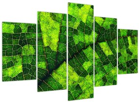 Tablou - Detaliu frunze (150x105 cm)