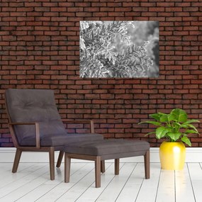 Tablou pe sticlă - Pădure de molid (70x50 cm)