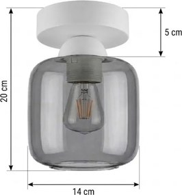 BRILAGI - Plafonieră LED R GLASS 1xE27/60W/230V Ø 14 cm alb/gri fumuriu