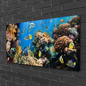 Tablou pe panza canvas Coral Reef Natura Multi