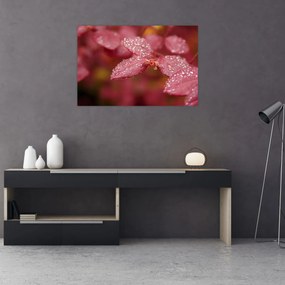 Tablou - Imagine macro a biletului (90x60 cm)