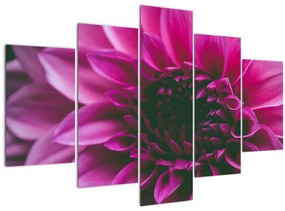 Tablou cu floarea roz (150x105 cm)