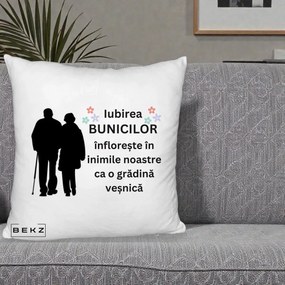 Cadou pentru Bunici - Perna Personalizata Bunicii Iubirea Infloreste Silueta Neagra Flori, 40x40 cm, Alb Pufos, Husa Detasabila, Perna Inclusa, BEKZ®