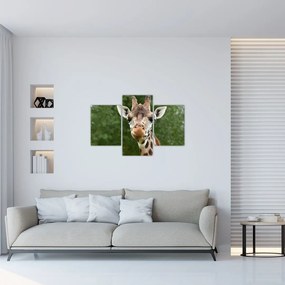 Tablou cu girafa (90x60 cm)