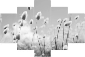 Tablou - Boho iepuraș coadă de iarbă (150x105 cm)