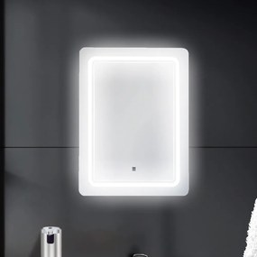 Oglindă video cu iluminare LED 60x80 cm