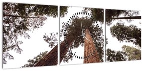 Tablou - Privire prin vârfurile copacilor (cu ceas) (90x30 cm)