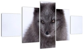 Tablou cu vulpe polară (125x70 cm), în 40 de alte dimensiuni noi