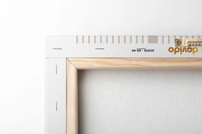 Tablou curcubeie minimaliste Mid-Century