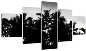 Tablou alb negru - palmieri (125x70 cm), în 40 de alte dimensiuni noi