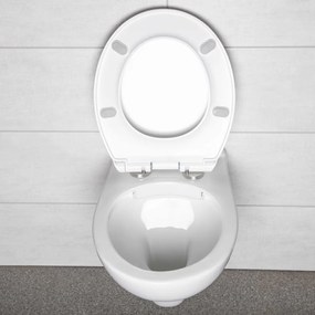 Set rezervor WC montat pe perete Doris Pacific CH