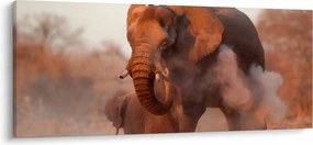 Tablou - Marele elefant african (120x50 cm)