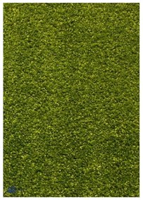 Covor verde modern 11000 Selectează mărime: 080 X 150