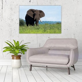Tablou cu elefant (90x60 cm)