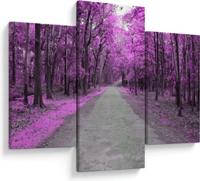Tablou - drum prin parc (90x60 cm)