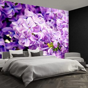 Fototapet Violet Flori