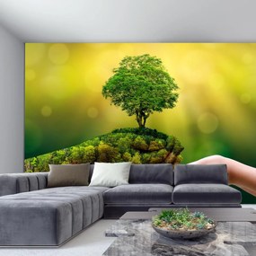 Fototapet - Darul naturii (147x102 cm)