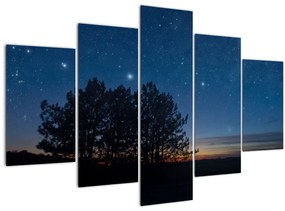 Tablou cu copaci noapte (150x105 cm)