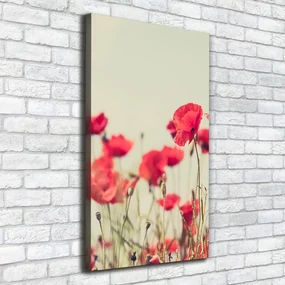 Imprimare tablou canvas Wildflowers maci