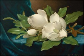 Tablou - Martin Johnson Heade, Giant Magnolias on a Blue Velvet Cloth, reproducere (90x60 cm)