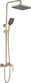 Set dus REA JOE Brush Gold