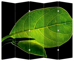 Paravan - Frunză verde (210x170 cm)