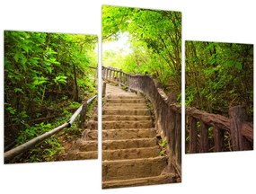 Tablou - Scări în natură (90x60 cm)