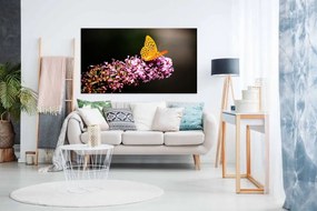 Tablou canvas fluture - 70x50cm