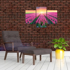 Tablou cu câmp de lalele cu soare (90x60 cm)