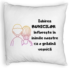 Perna Decorativa Fluffy, pentru Bunici 10, 40x40 cm, Alba, Husa Detasabila, Burduf