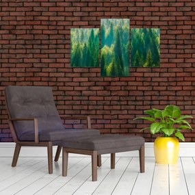 Tablou - Pădurea de brazi (90x60 cm)