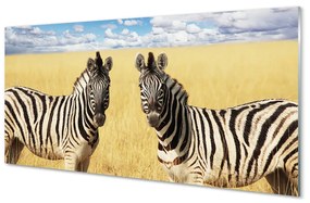 Tablouri acrilice caseta de zebră