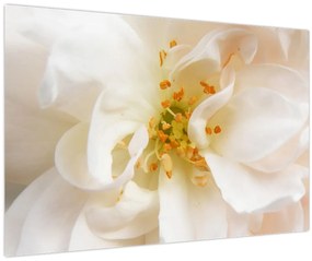 Tablou - Floare (90x60 cm)