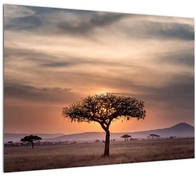 Tablou apusului de soare în Tanzania (70x50 cm), în 40 de alte dimensiuni noi