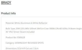Spot LED incastrabil iluminat exterior IP67 BRADY 20W alb