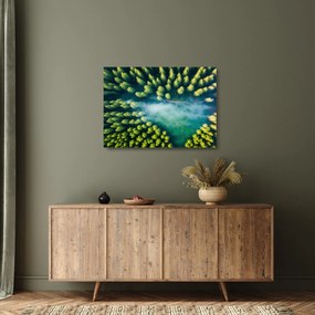 Tablou pe sticlă - O pădure învăluită în ceață (70x50 cm)