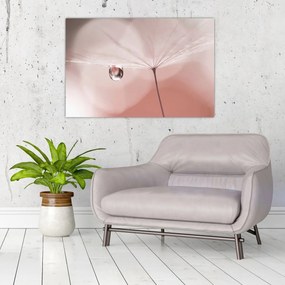 Tablou - O picătură de rouă (90x60 cm)