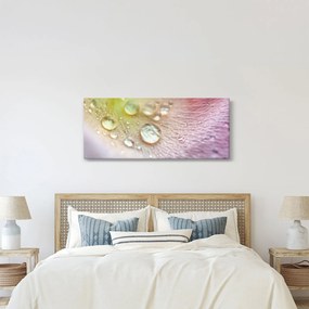 Tablou - Picături de rouă (120x50 cm)