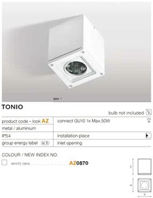 Spot aplicat / Plafoniera pentru iluminat exterior IP54 TONIO