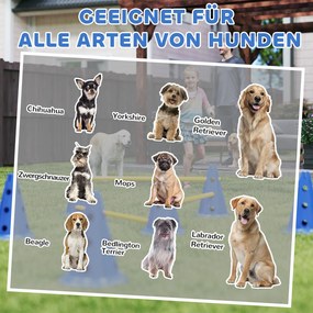 PawHut Set Agility pentru câini, echipament Agility 3 piese pentru dresajul câinilor, set cu 6 conuri, 3 obstacole, geantă de transport | Aosom Romania