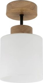 BRILAGI - LED Plafonier aplicat RETRO GLASS 1xE27/60W/230V Ø 10 cm stejar/alb