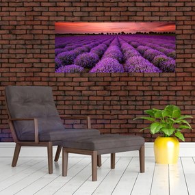 Tablou - Câmp de lavandă (120x50 cm)