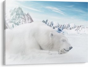 Tablou - Urs polar (70x50 cm)