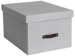 Cutie de depozitare din carton cu capac Tora – Bigso Box of Sweden
