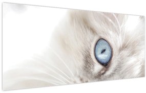Tablou - Pisica cu ochi albaștri (120x50 cm)