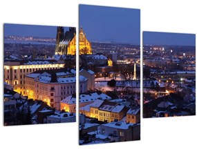 Tablou - Catedrala Sf. Peter și Paul, Brno, Republica Cehă (90x60 cm)