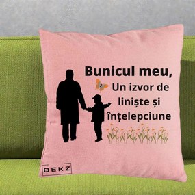 Cadou pentru Bunic - Perna Personalizata Bunicul Meu Izvor de Liniste cu Fluture si Baietel, 40x40 cm, Roz, Husa Detasabila, Perna Inclusa, BEKZ®