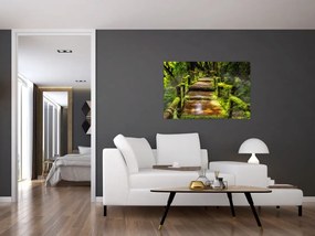 Tablou cu scări într-o pădure tropicală (90x60 cm)